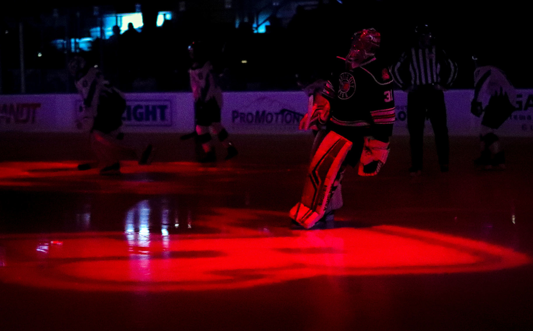 Rush host Steelheads